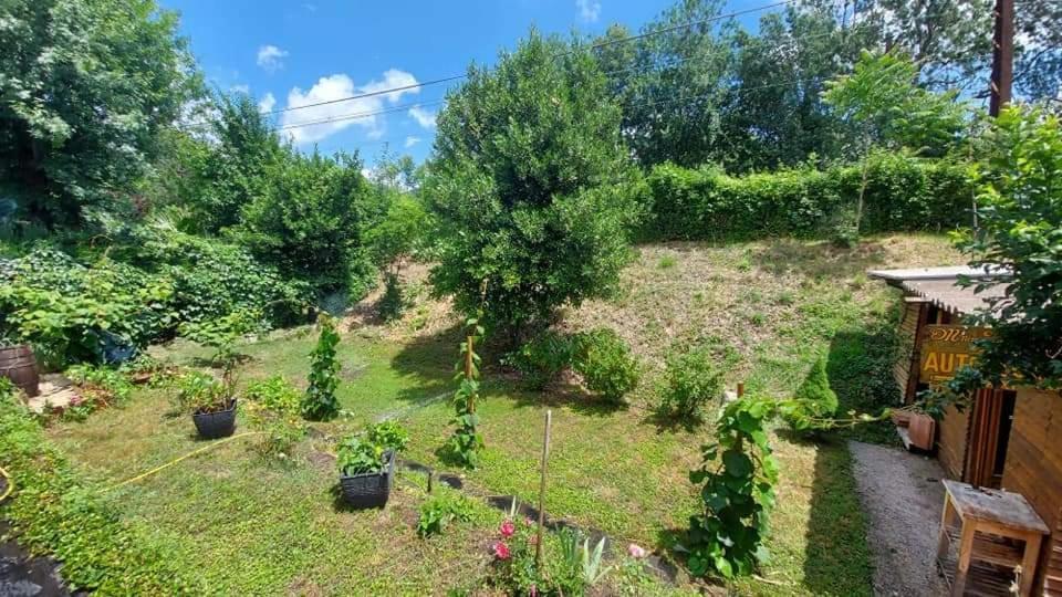 Villa Mimosa Le Bousquet-d'Orb Екстериор снимка